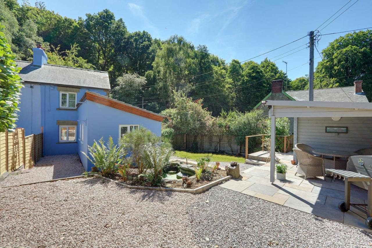 Badger Cottage Parkend Ngoại thất bức ảnh